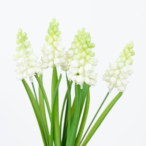 12" HYACINTH BUNDLE