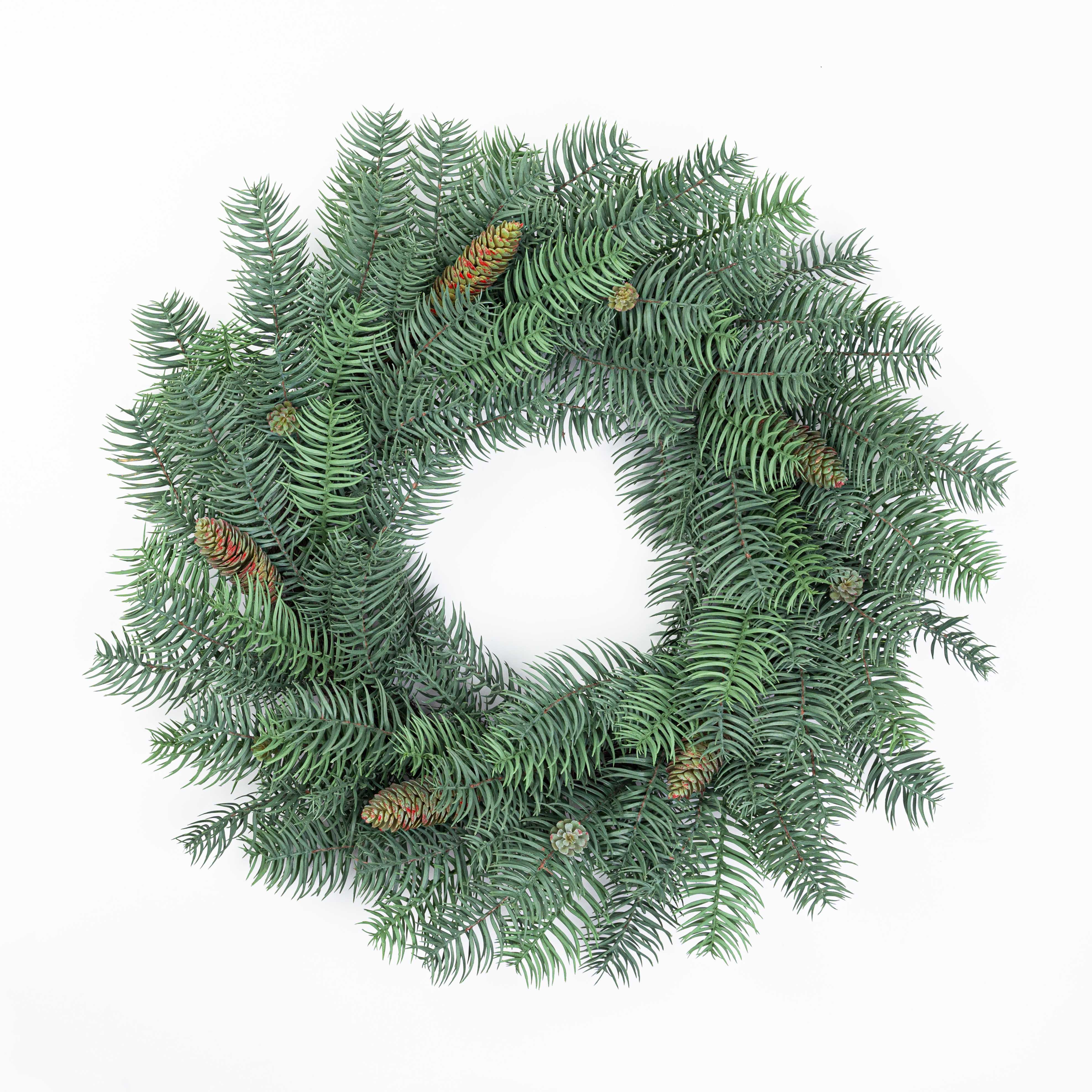24" PINE PINECONE WREATH