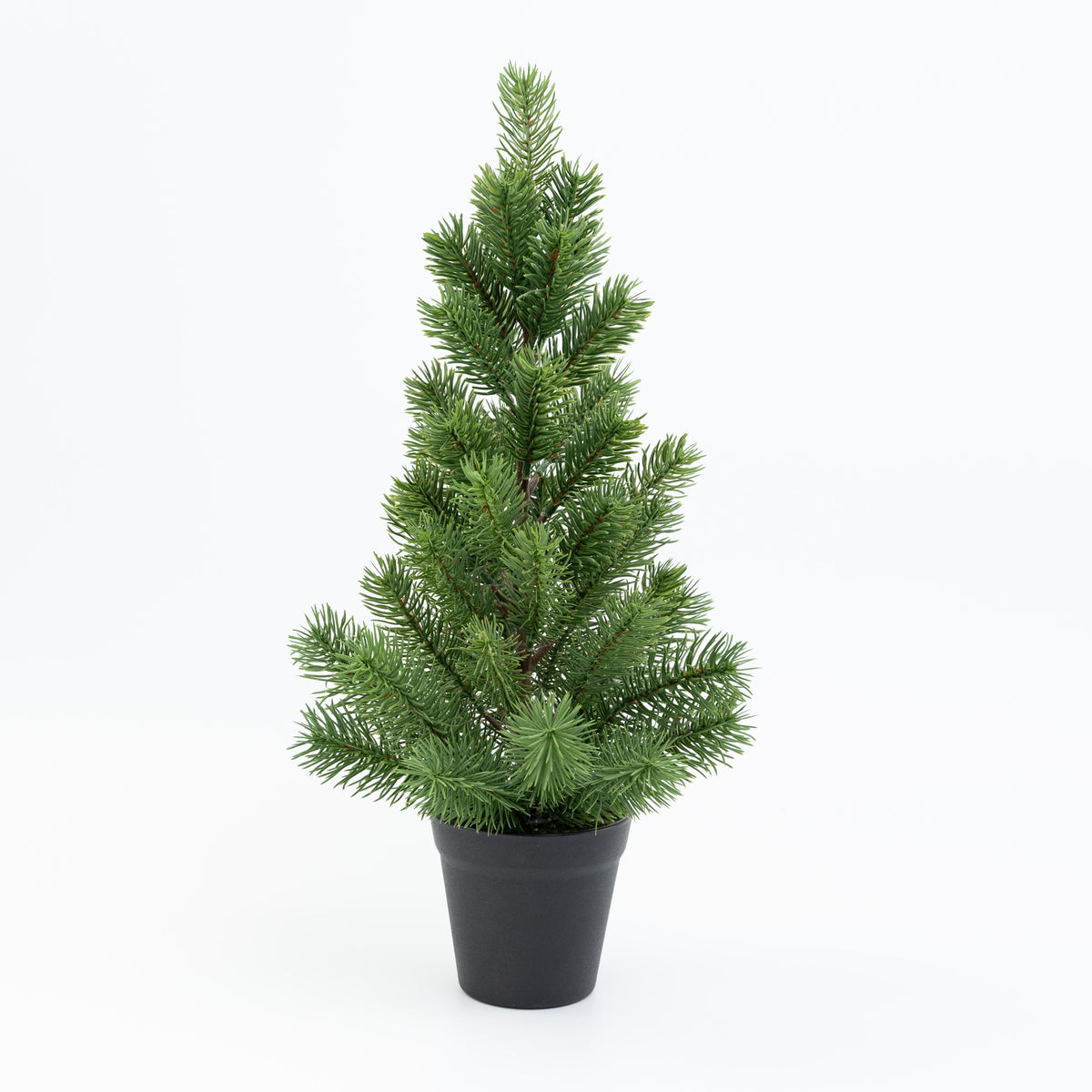19" PINE TREE POTTED