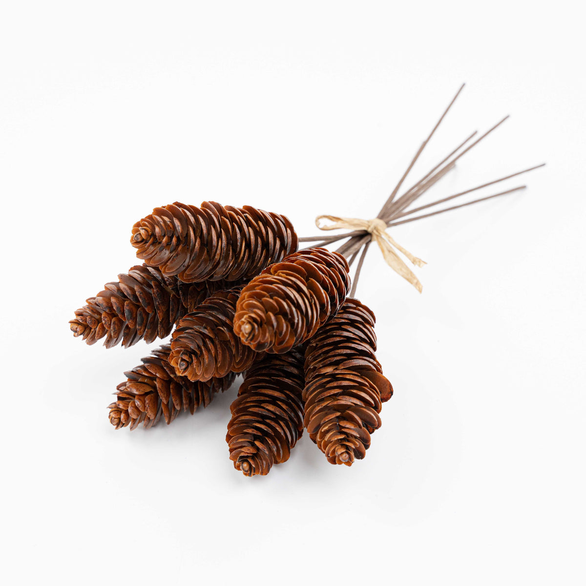 11" PINECONE BUNDLE X 7
