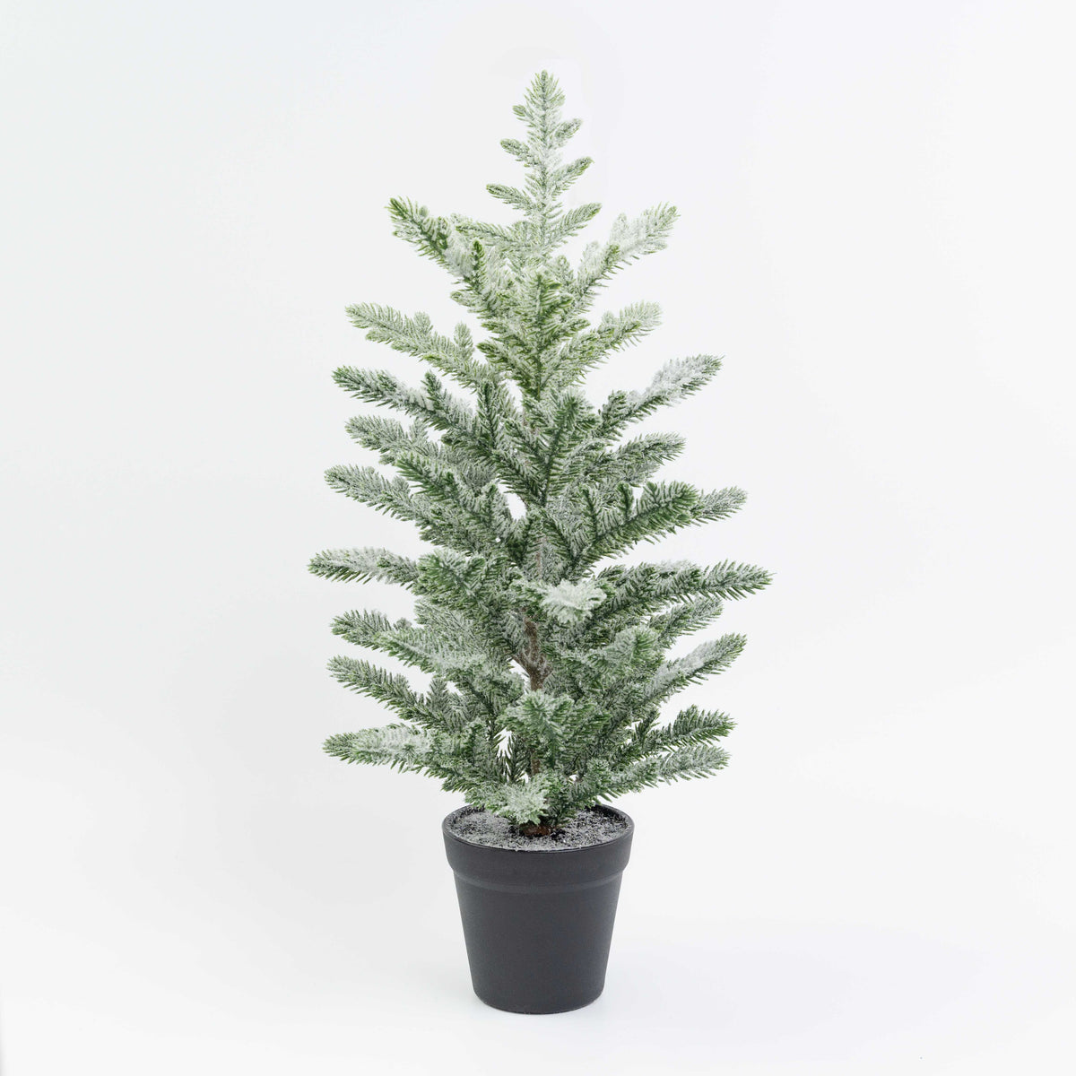 20" SNOW PINE TREE POTTED