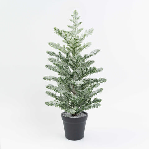 20" SNOW PINE TREE POTTED