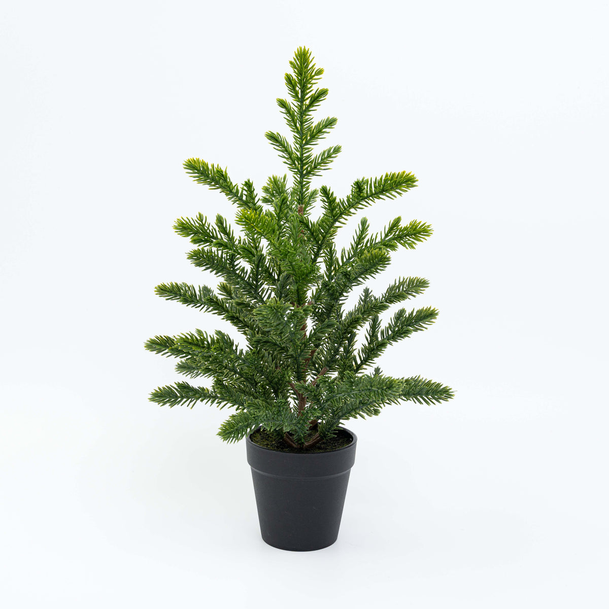 16" PINE TREE POTTED