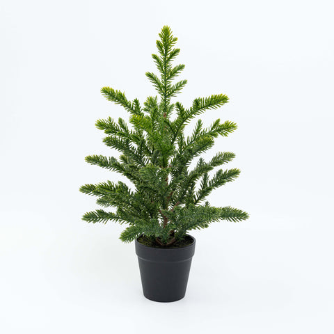16" PINE TREE POTTED