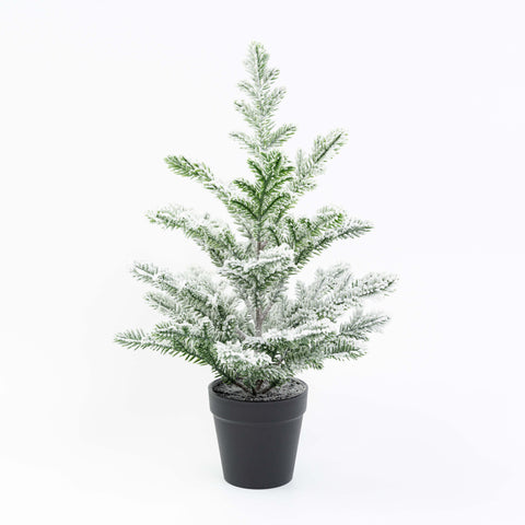 16" PINE TREE POTTED