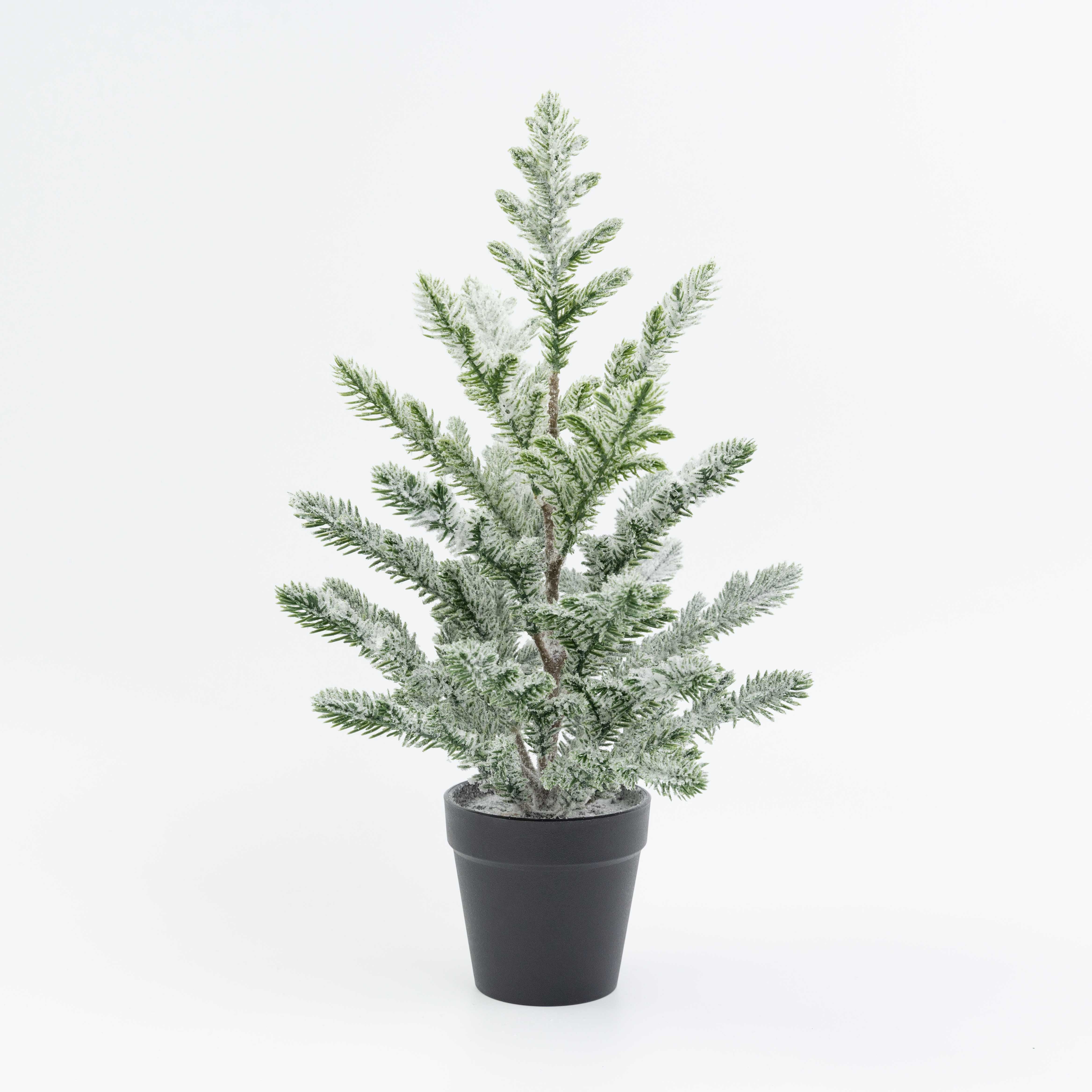 16" PINE TREE POTTED