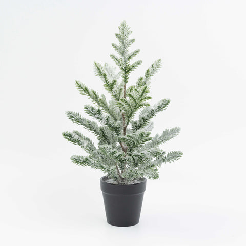 16" PINE TREE POTTED