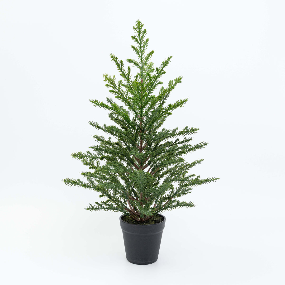 21" PINE TREE POTTED