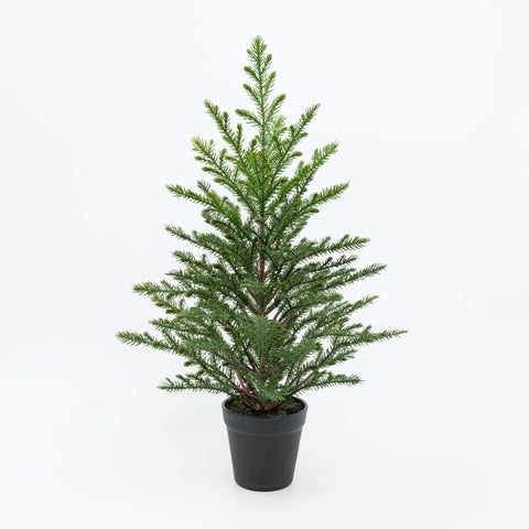21" PINE TREE POTTED