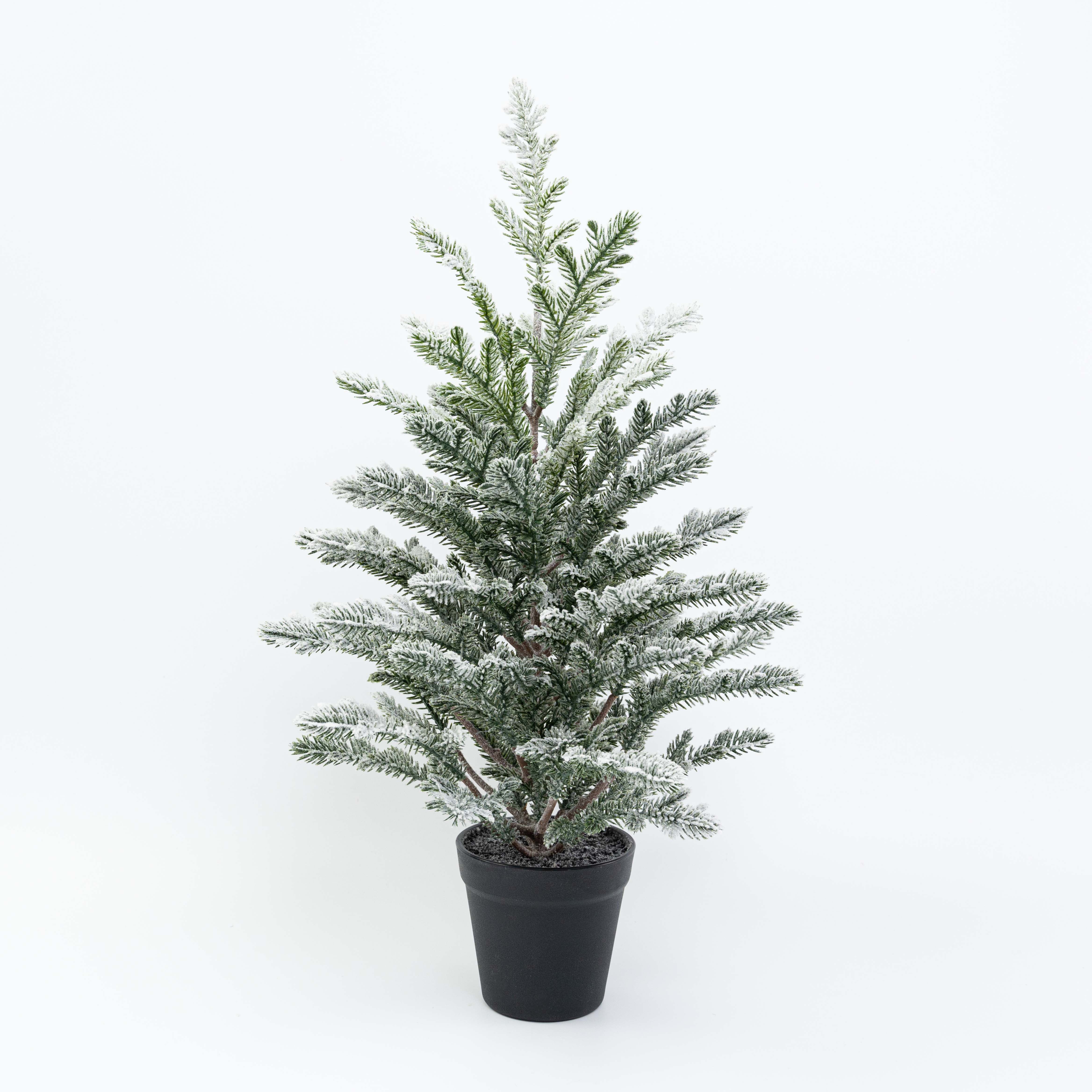 21" PINE TREE POTTED