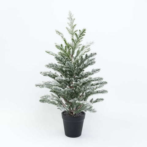 21" PINE TREE POTTED
