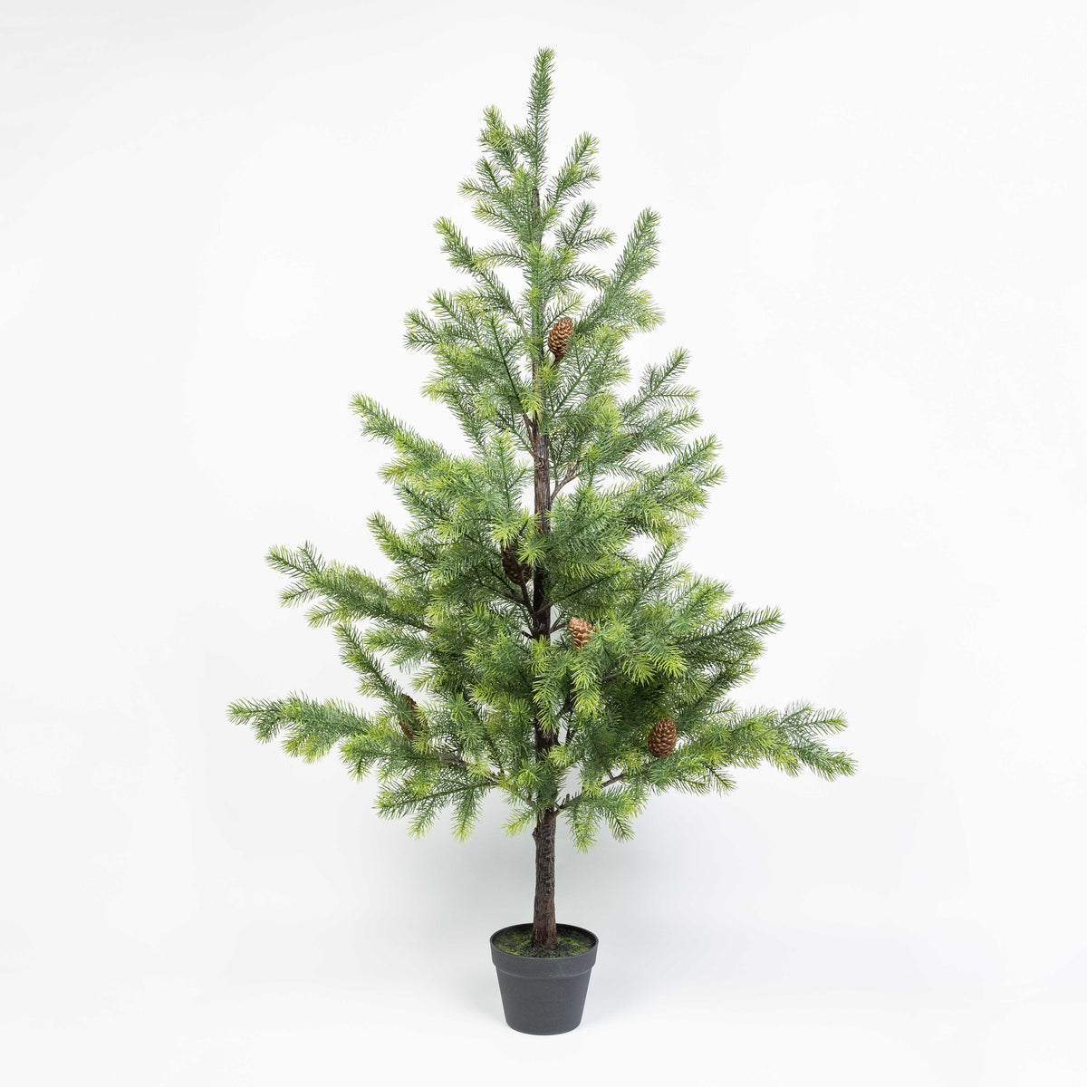 62" PINE PINECONE TREE POTTED