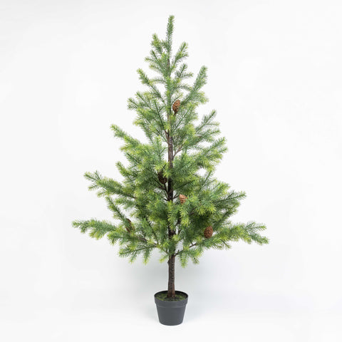 62" PINE PINECONE TREE POTTED