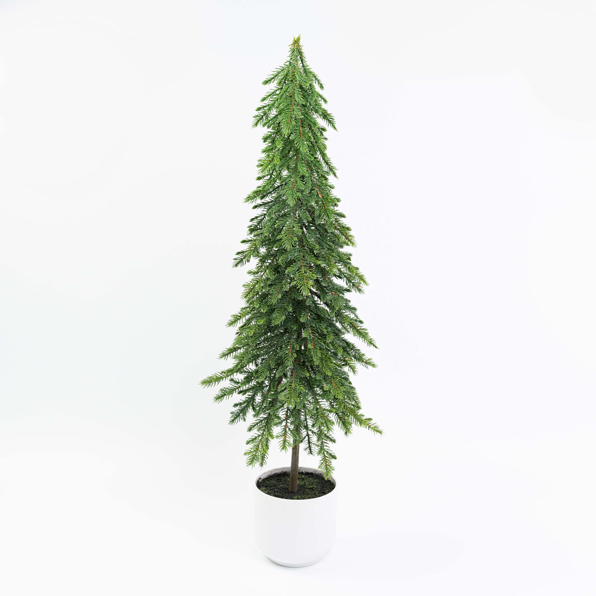 29" PINE TREE POTTED