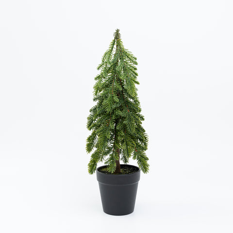 15" PINE TREE POTTED