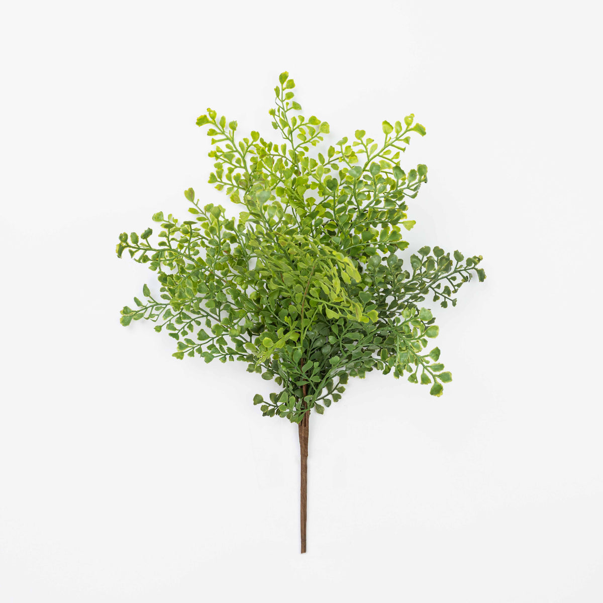19" SOFT TOUCH MAIDENHAIR BUSH