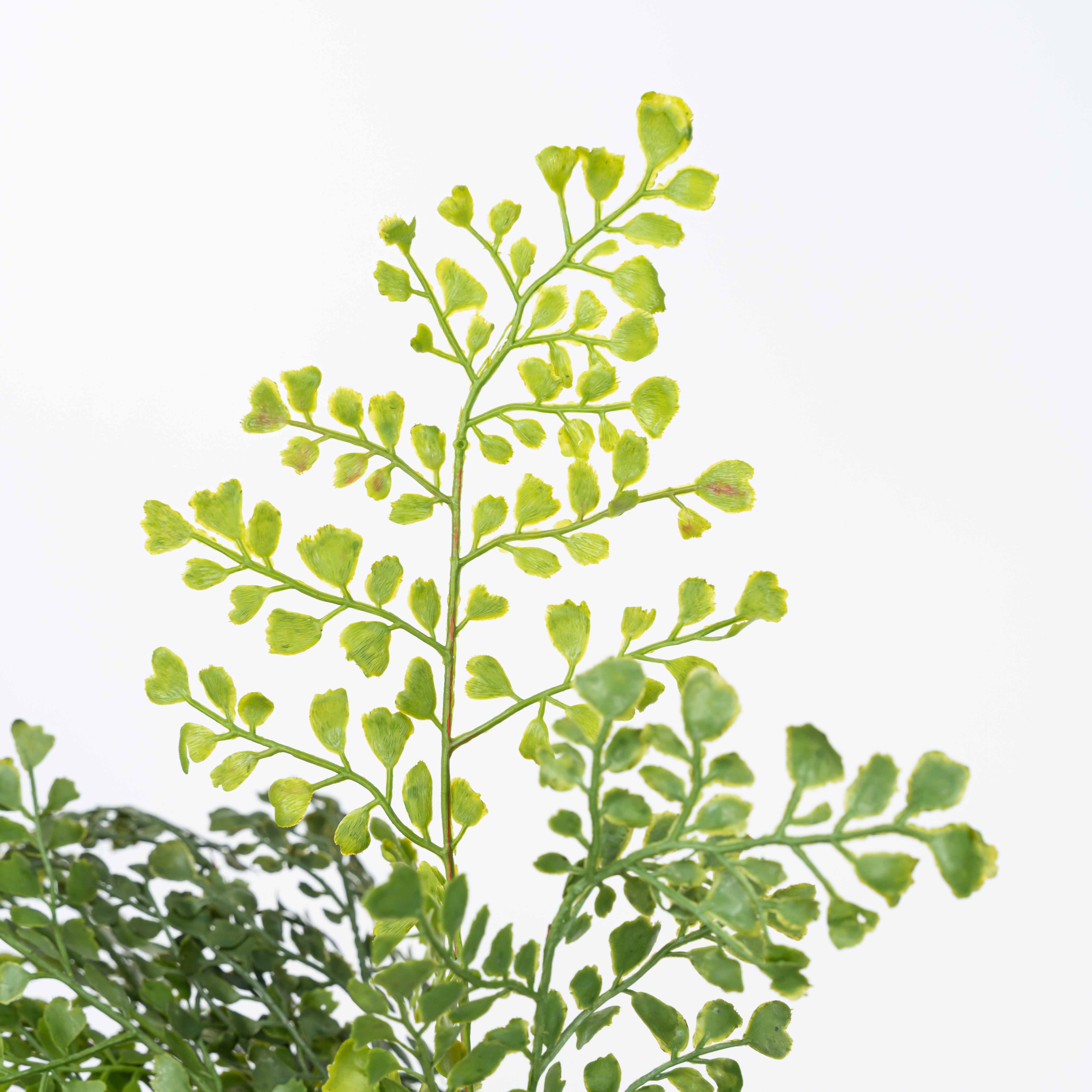 19" SOFT TOUCH MAIDENHAIR BUSH