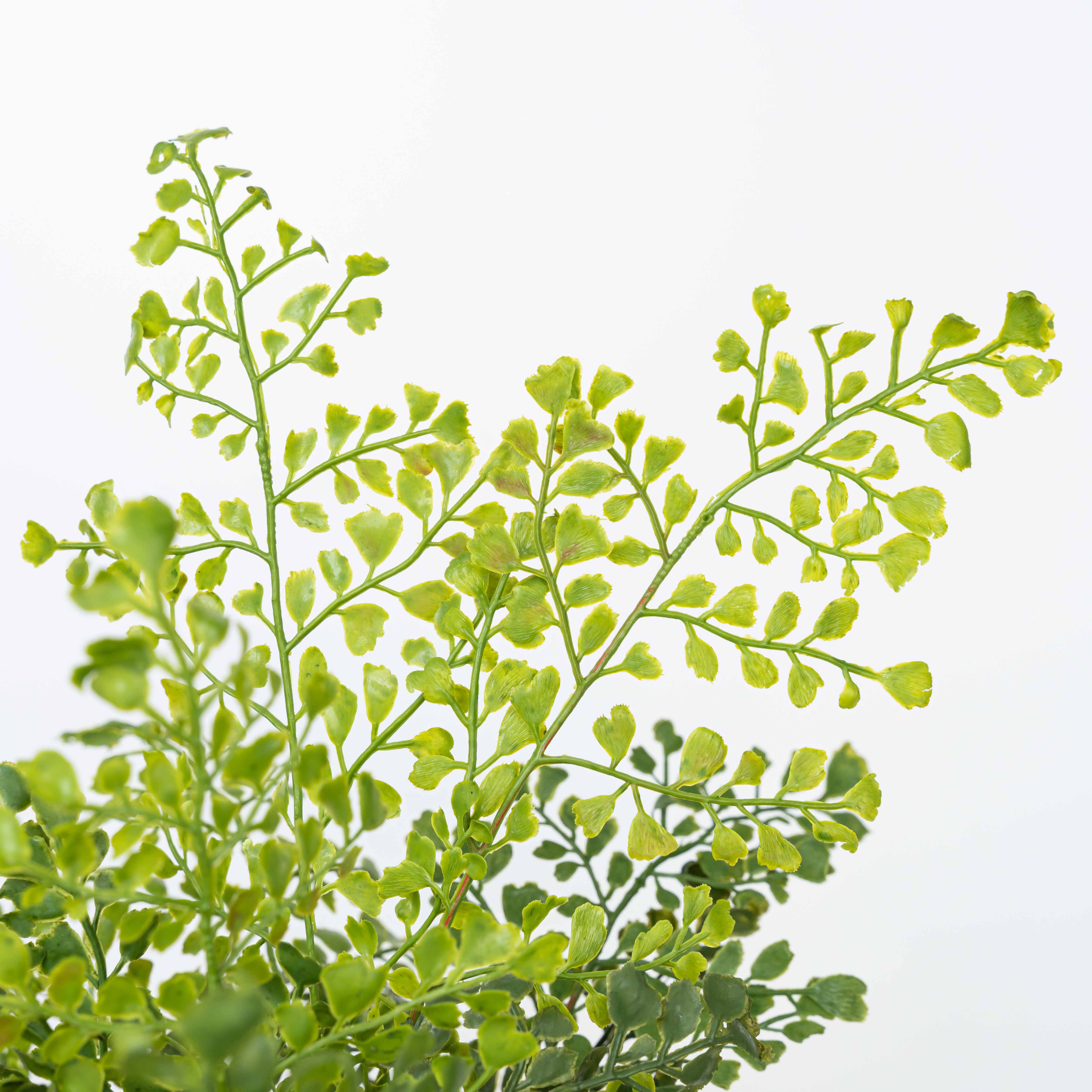 19" SOFT TOUCH MAIDENHAIR BUSH