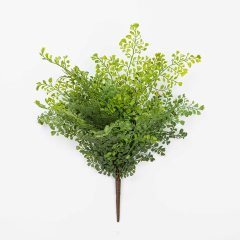 19" SOFT TOUCH MAIDENHAIR BUSH