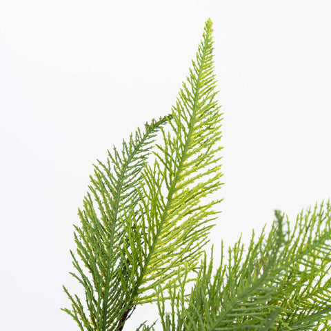 17" SOFT TOUCH CEDAR BUSH