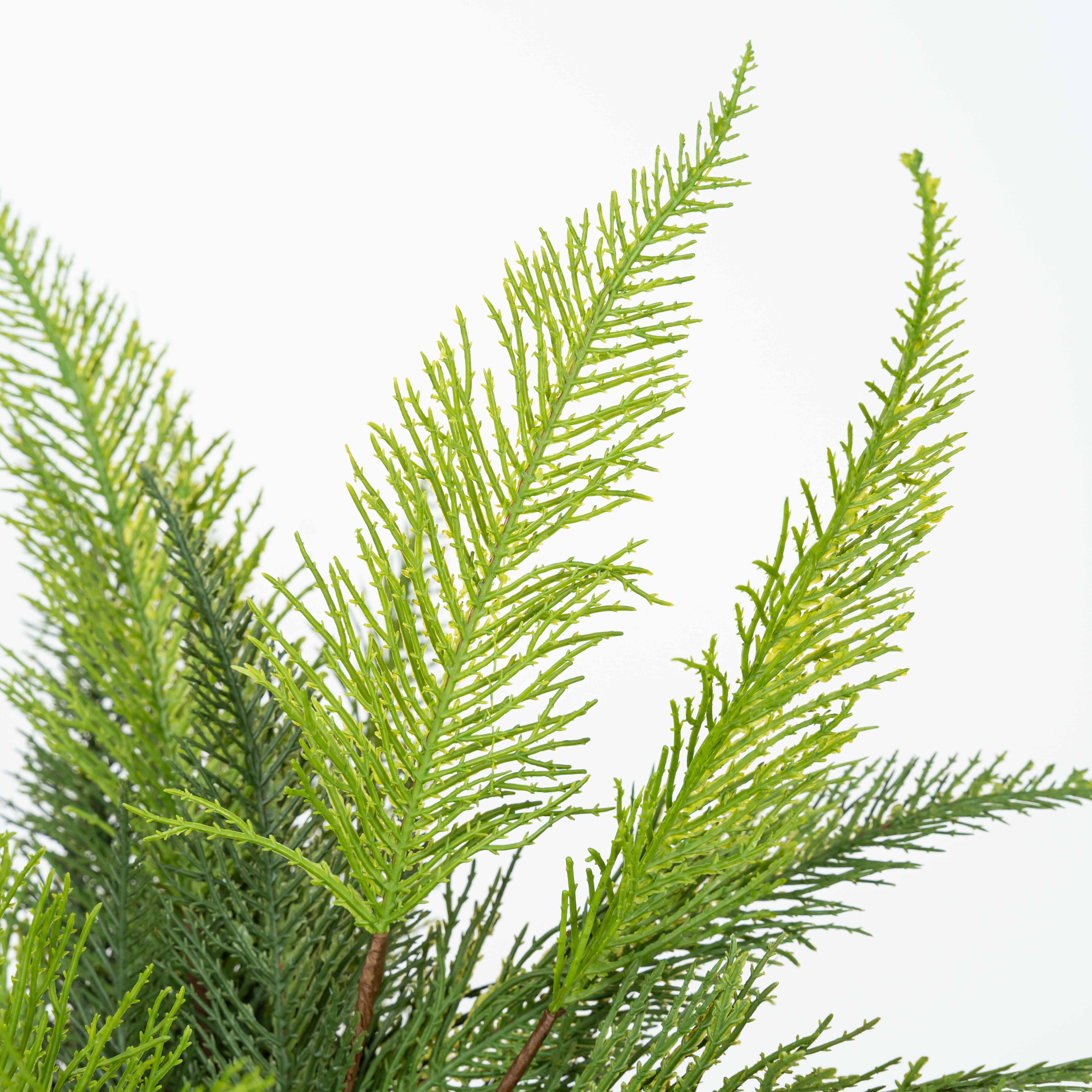 17" SOFT TOUCH CEDAR BUSH