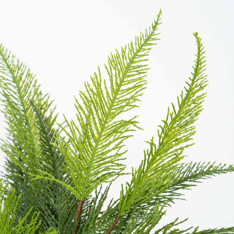 17" SOFT TOUCH CEDAR BUSH