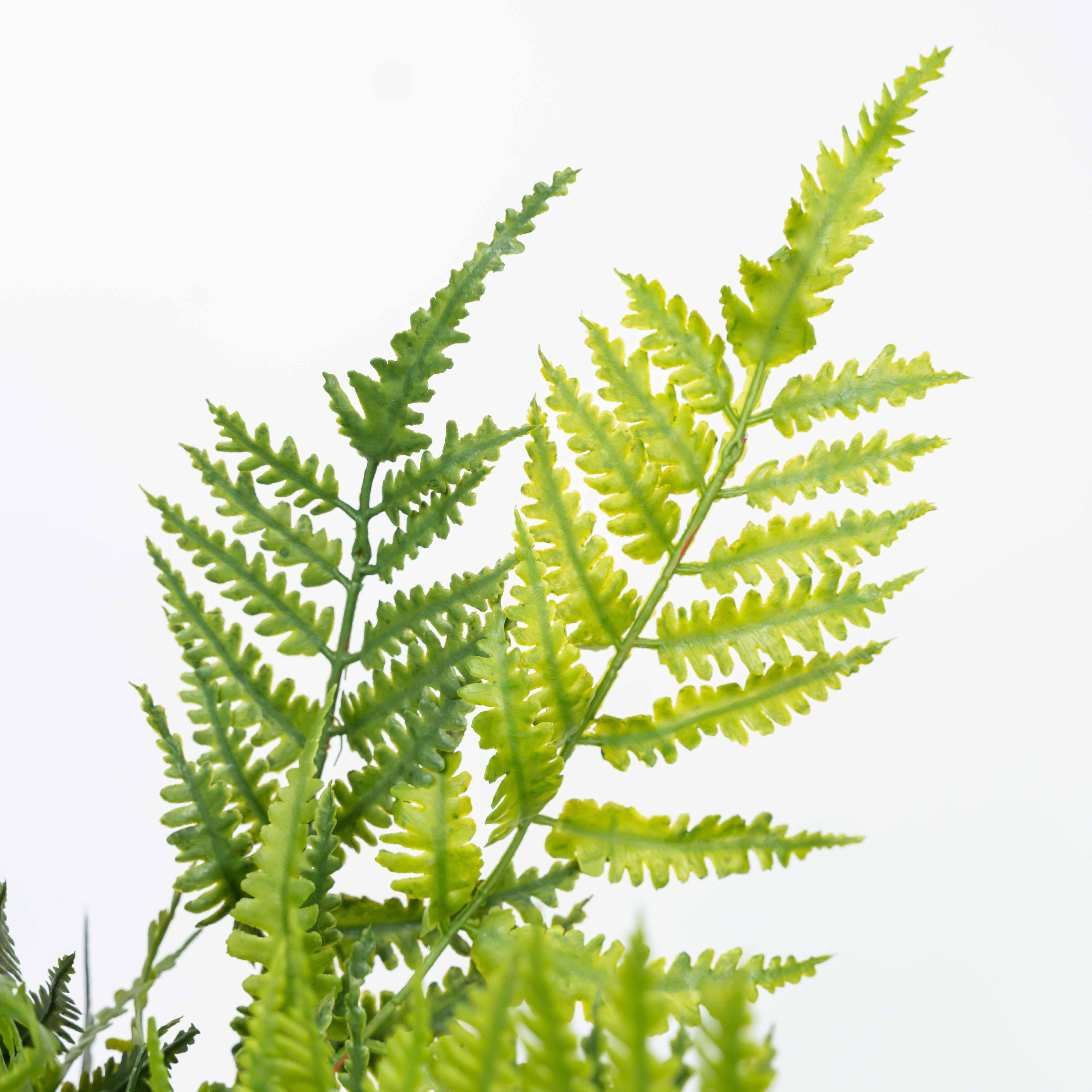 19" SOFT TOUCH FERN BUSH