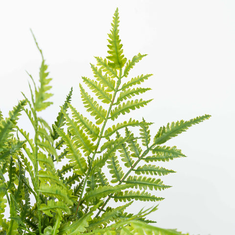 19" SOFT TOUCH FERN BUSH