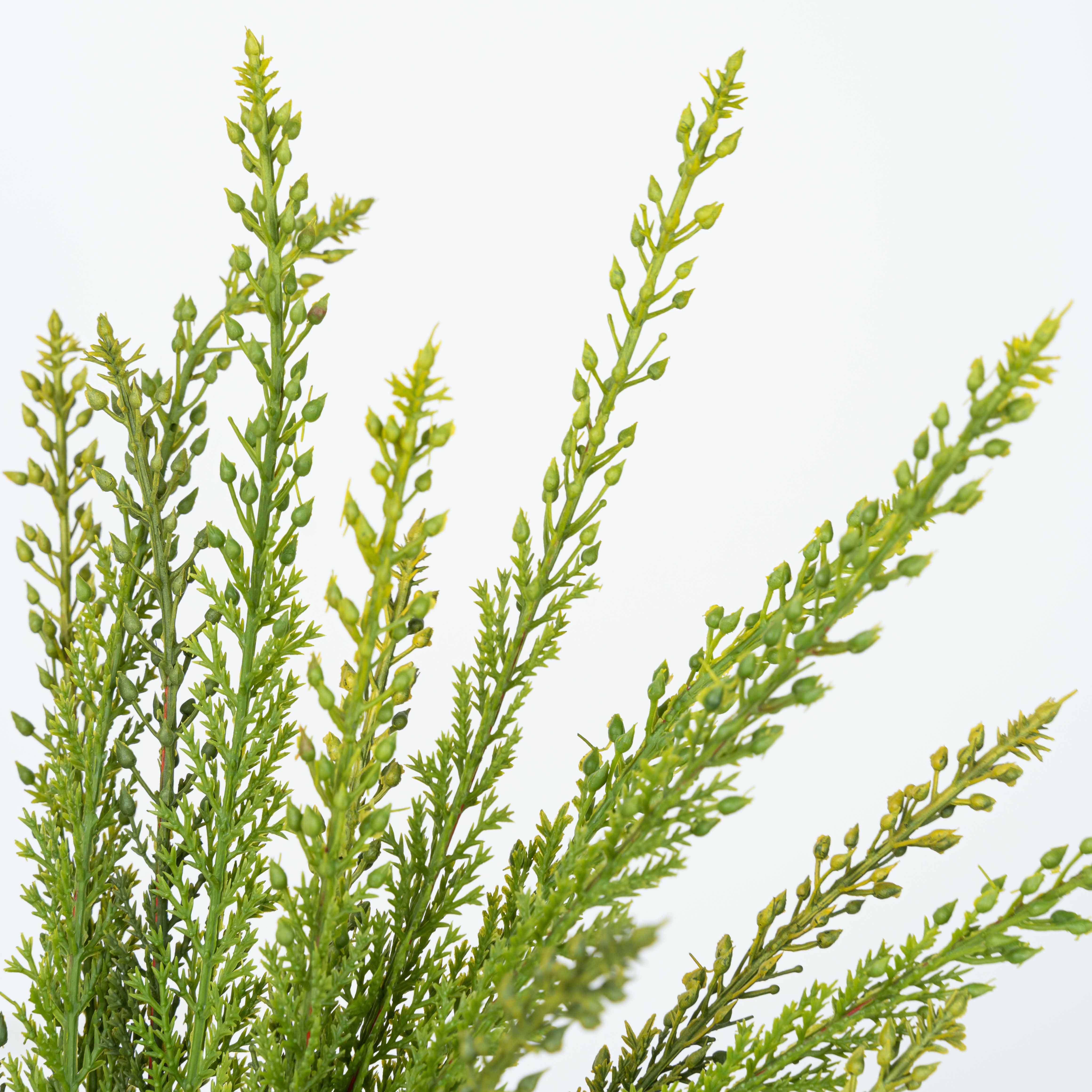 18" SOFT TOUCH CEDAR BUSH