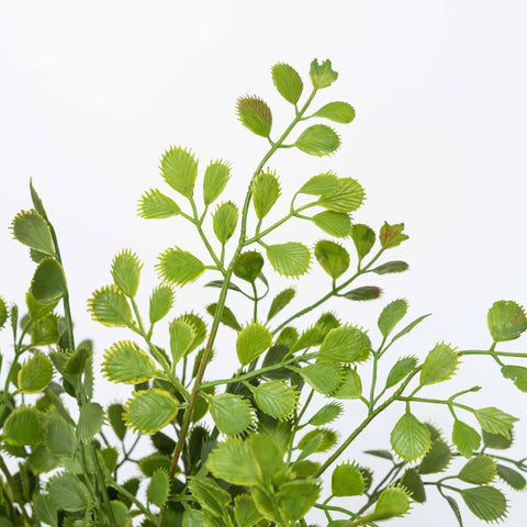 18" SOFT TOUCH MAIDENHAIR BUSH