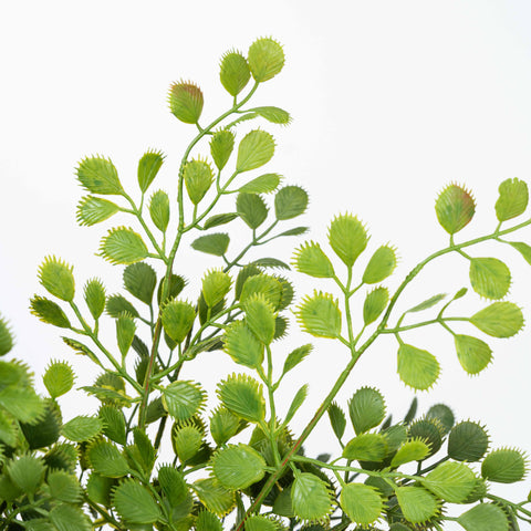 18" SOFT TOUCH MAIDENHAIR BUSH