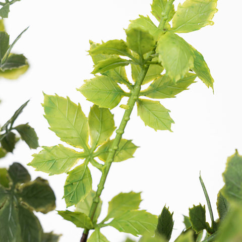 18" SOFT TOUCH FERN BUSH