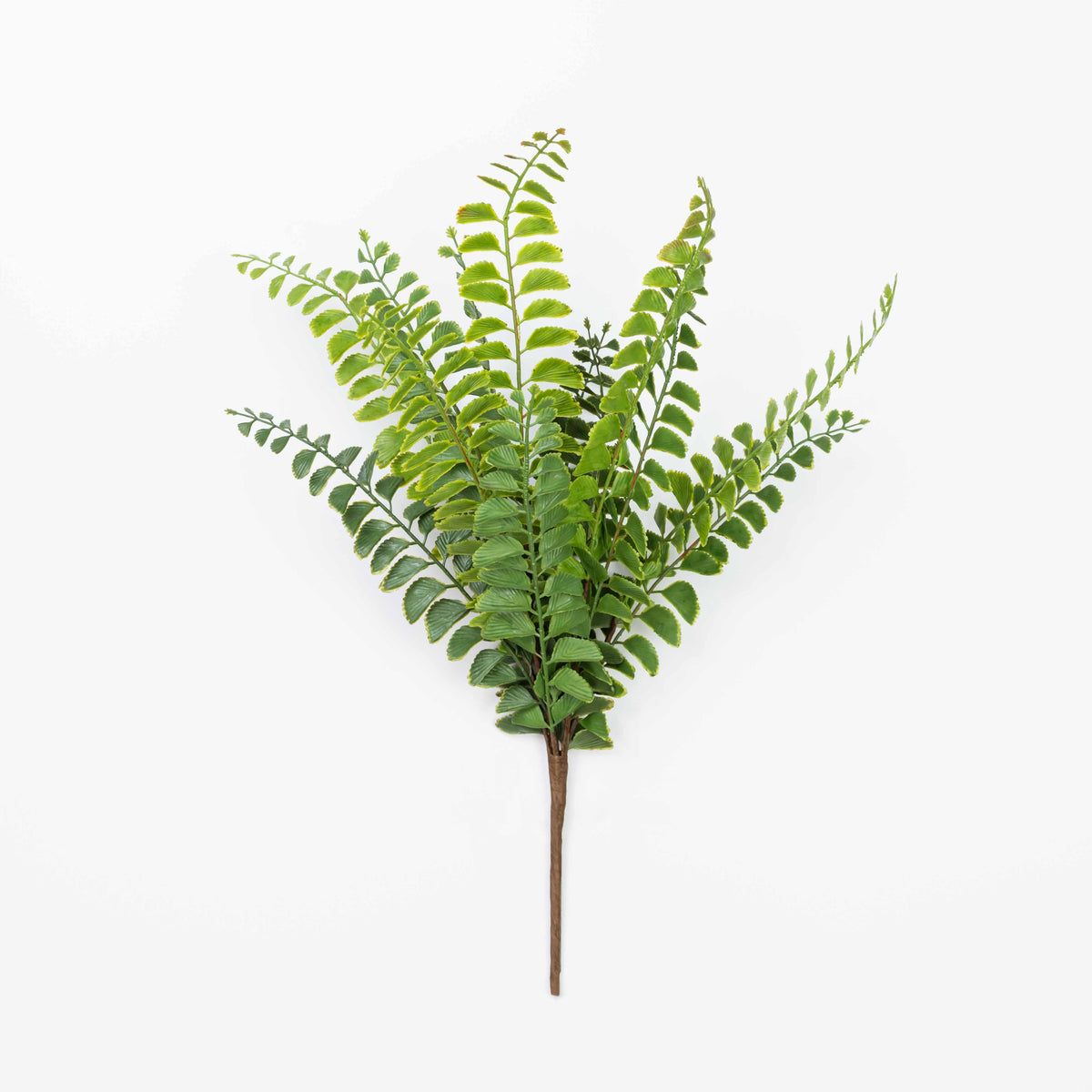 19" SOFT TOUCH FERN BUSH