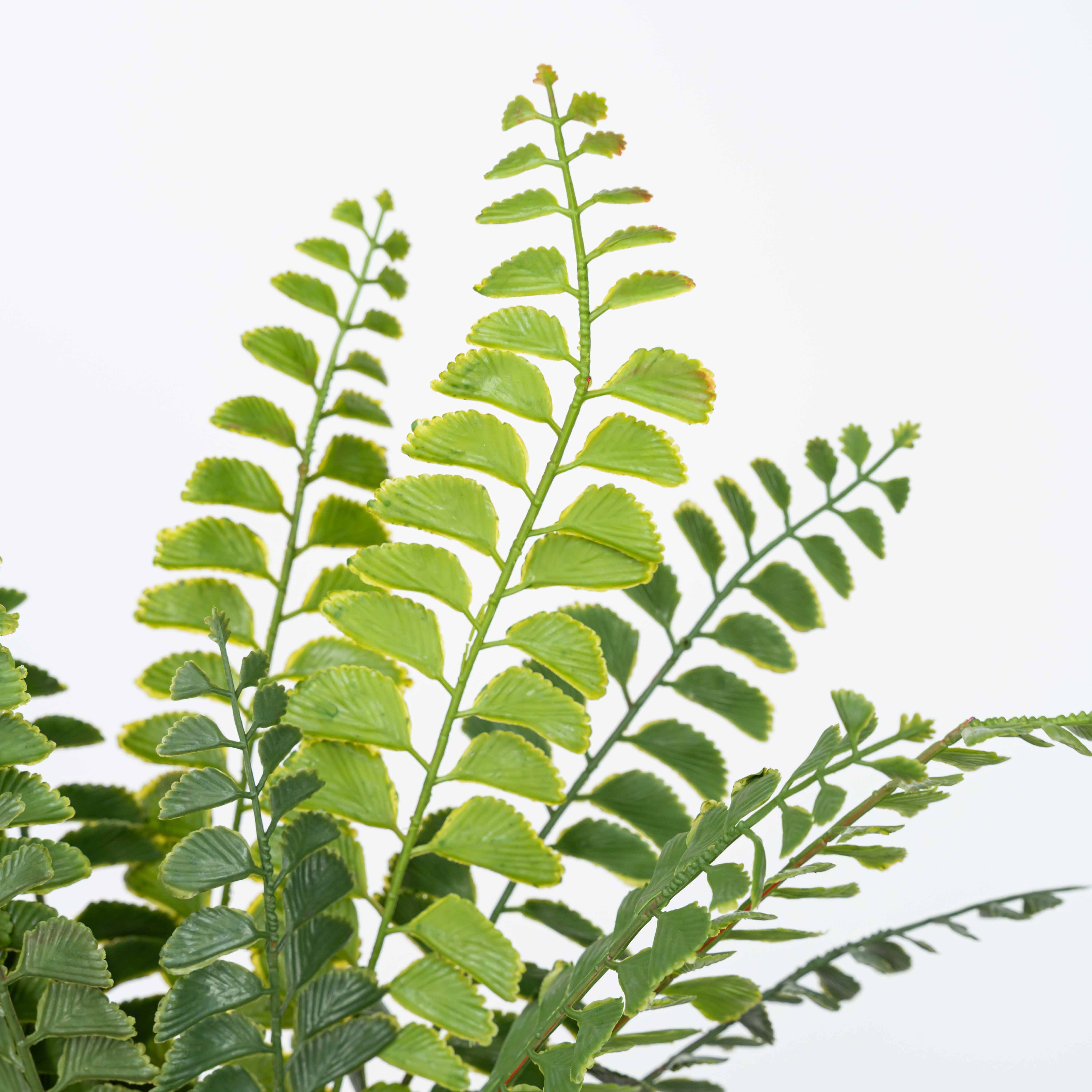 19" SOFT TOUCH FERN BUSH