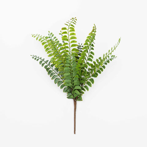 19" SOFT TOUCH FERN BUSH