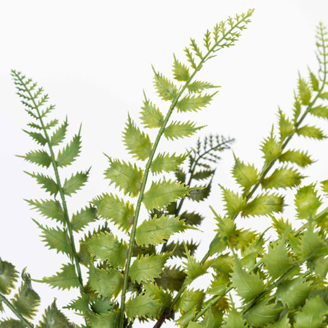 17" SOFT TOUCH FERN BUSH