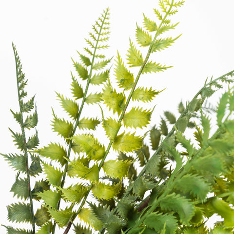 17" SOFT TOUCH FERN BUSH