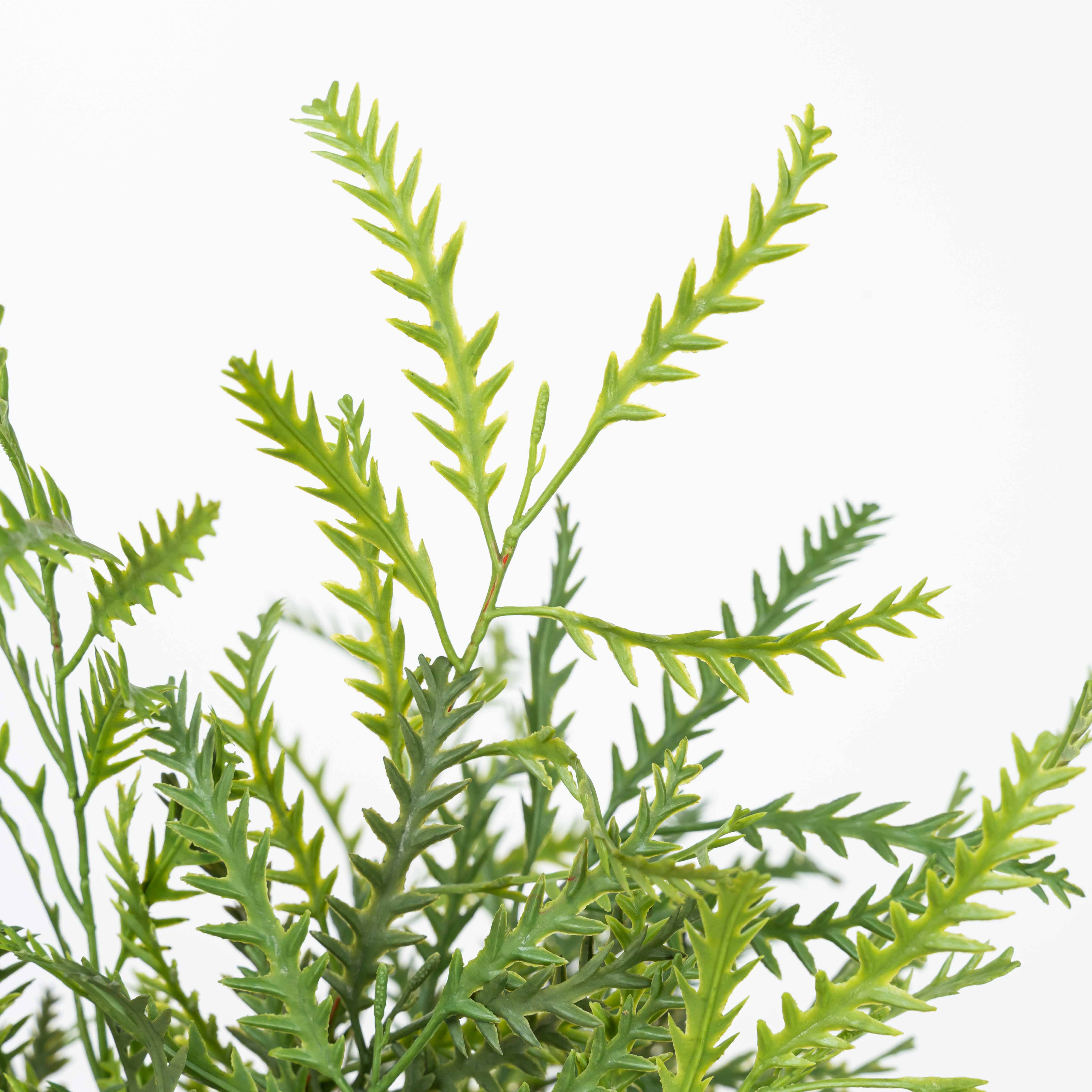 17" SOFT TOUCH FERN BUSH