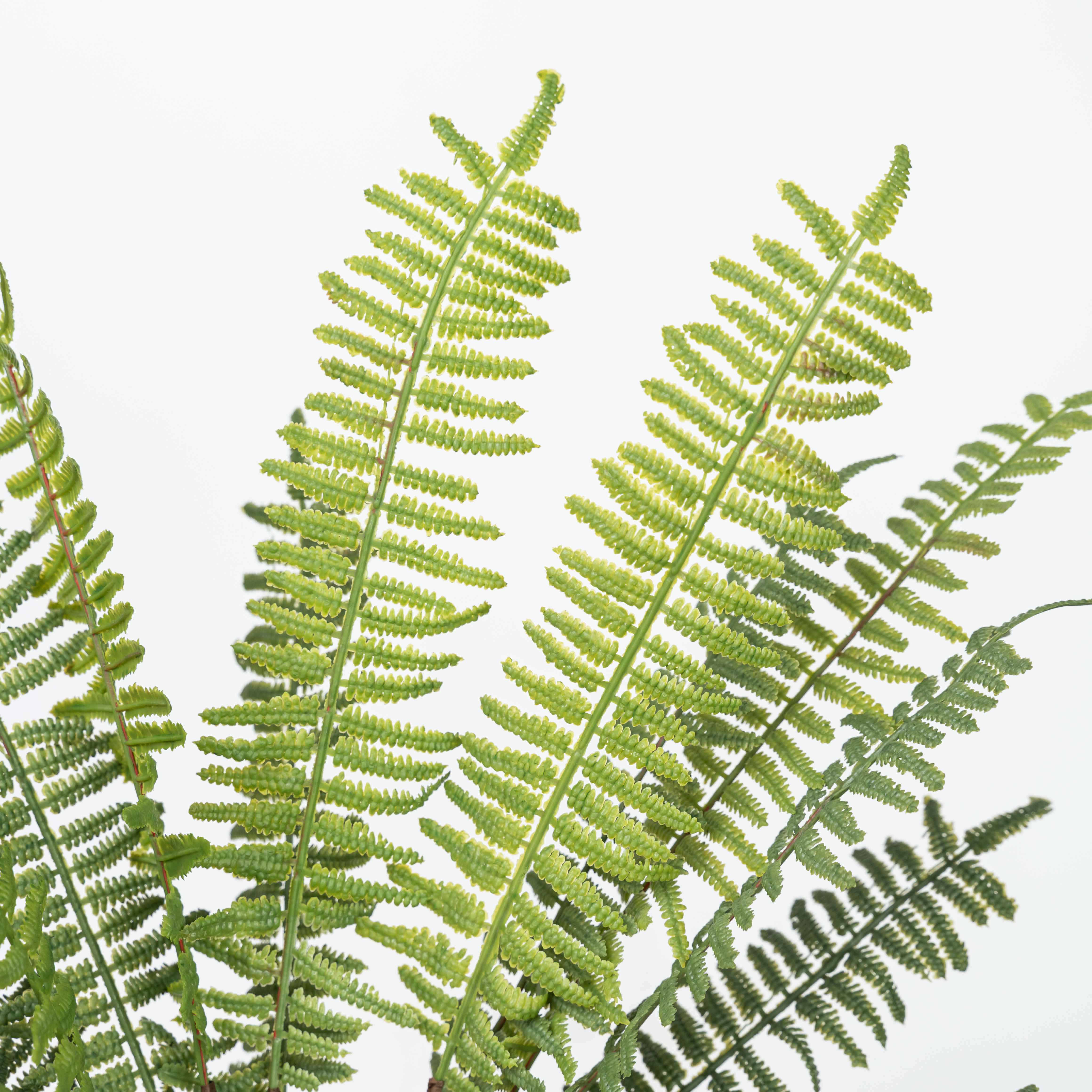 17" SOFT TOUCH FERN BUSH