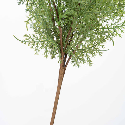 17" SOFT TOUCH ASPARAGUS FERN BUSH