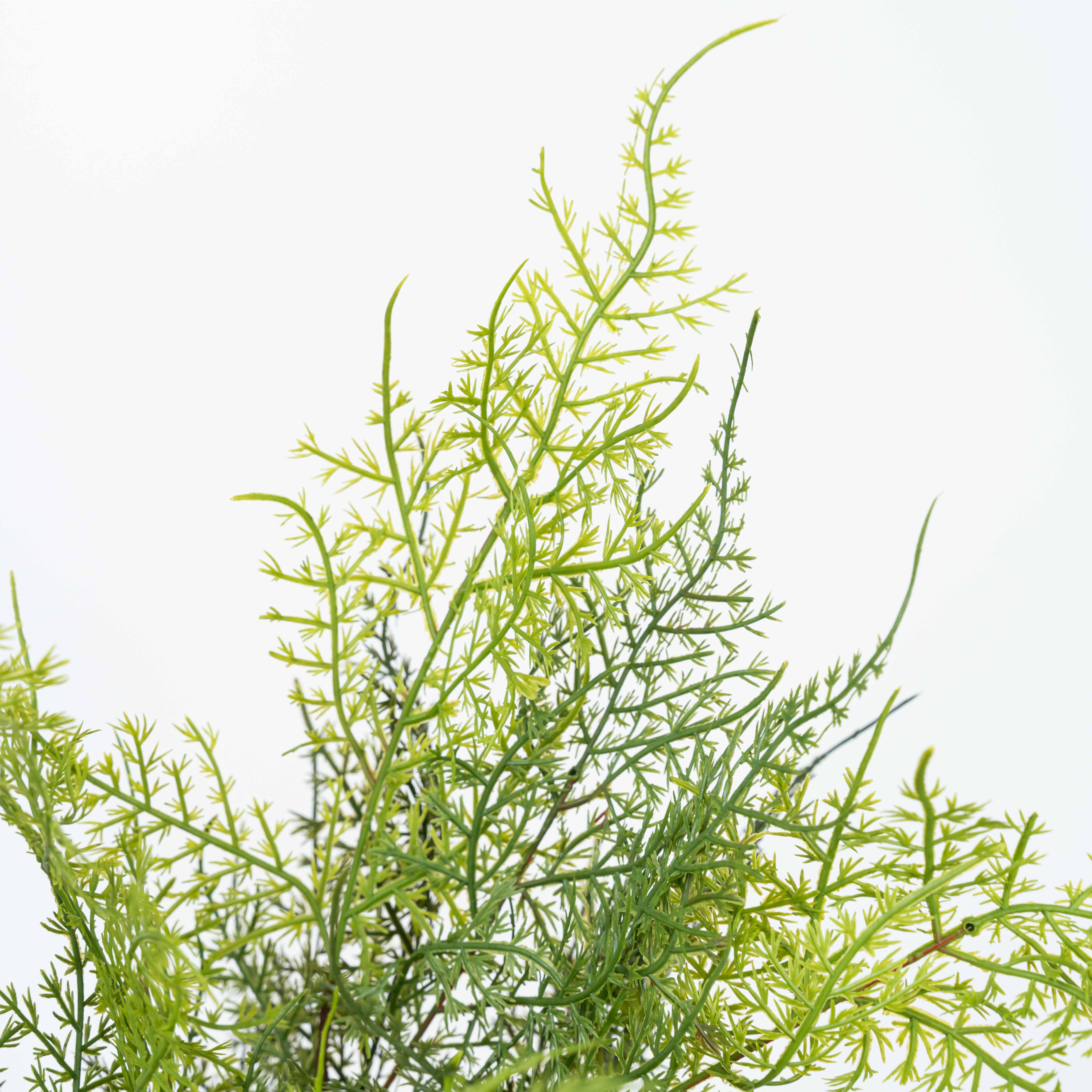 17" SOFT TOUCH ASPARAGUS FERN BUSH