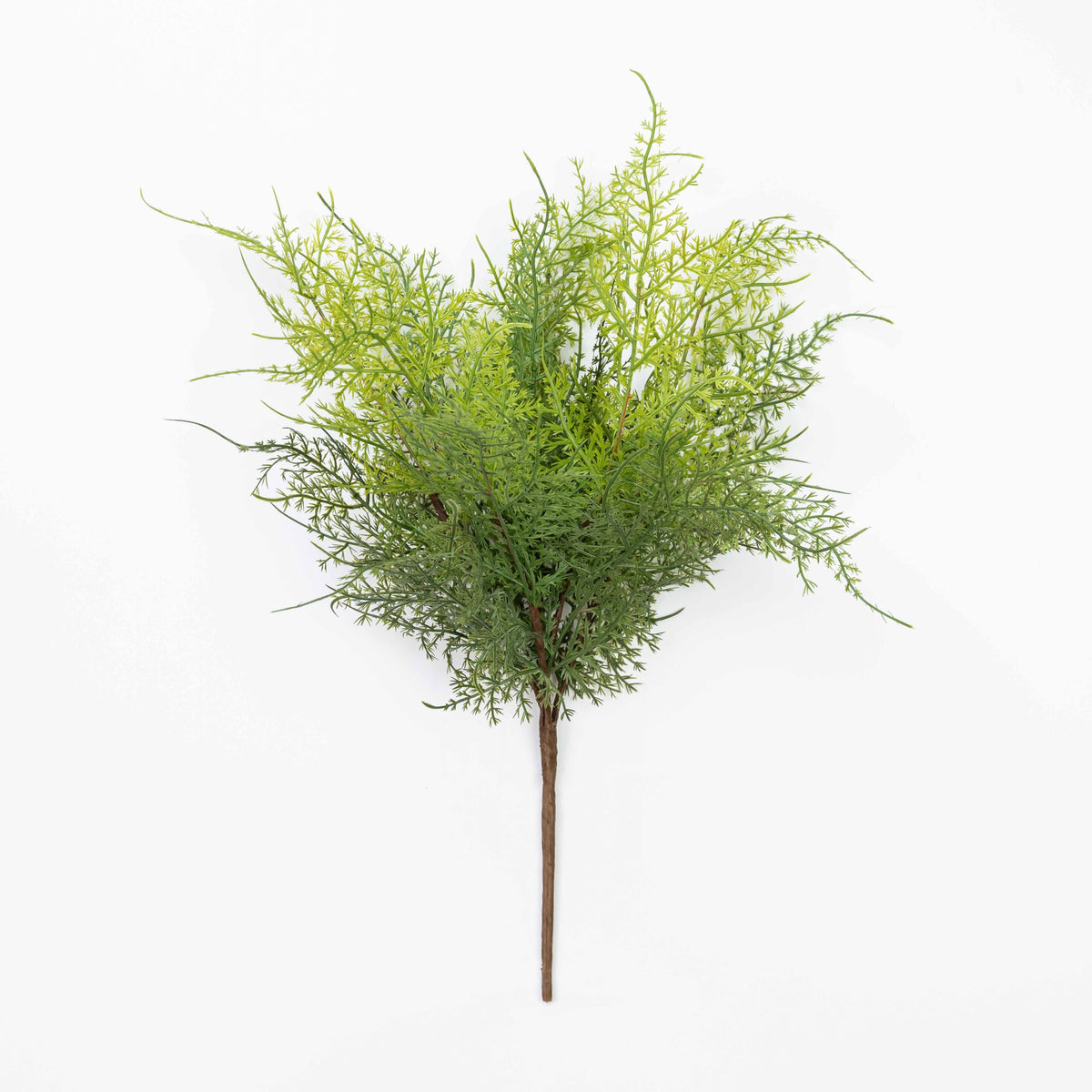 17" SOFT TOUCH ASPARAGUS FERN BUSH