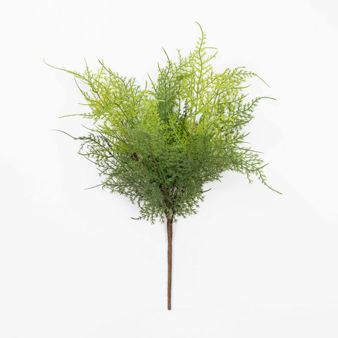 17" SOFT TOUCH ASPARAGUS FERN BUSH