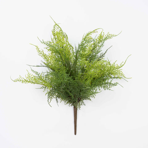 17" SOFT TOUCH ASPARAGUS FERN BUSH