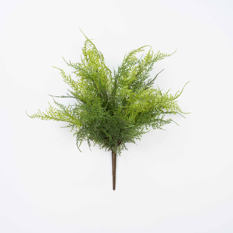 17"-19" SOFT TOUCH ASPARAGUS FERN BUSH