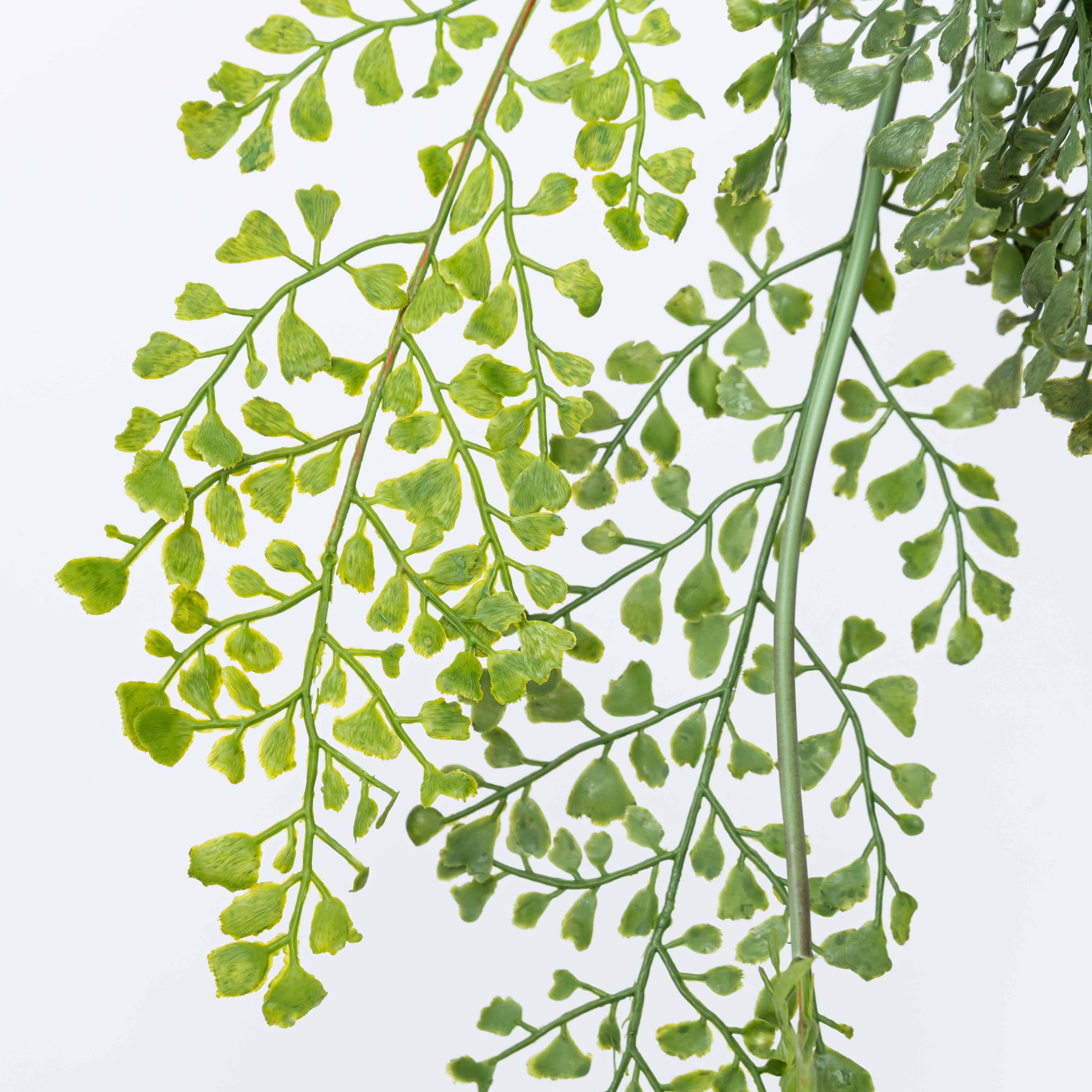 42" SOFT TOUCH MAIDENHAIR HANGING SPRAY