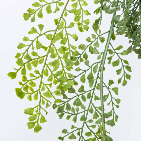 42" SOFT TOUCH MAIDENHAIR HANGING SPRAY