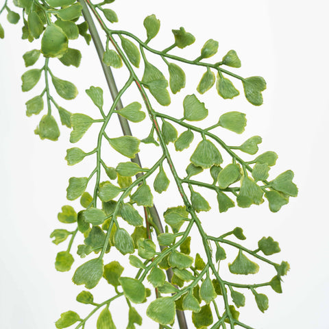 42" SOFT TOUCH MAIDENHAIR HANGING SPRAY
