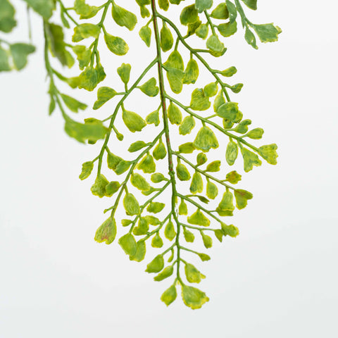 42" SOFT TOUCH MAIDENHAIR HANGING SPRAY