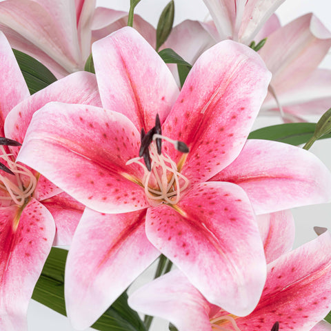 22" LILY BUSH WITH 9 HEADS